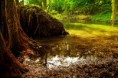 /album/water/natural-habitat-lowres-jpg/
